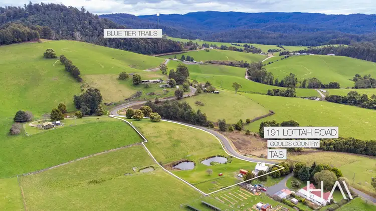 Fourth view of Homely house listing, 191 Lottah Road, Goulds Country TAS 7216