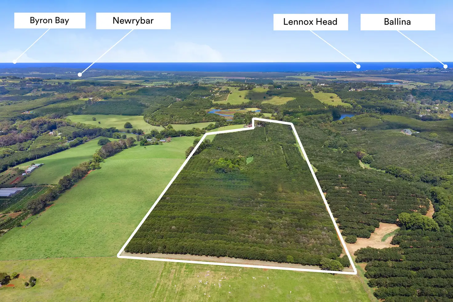 Main view of Homely house listing, 423 Friday Hut Road, Brooklet NSW 2479