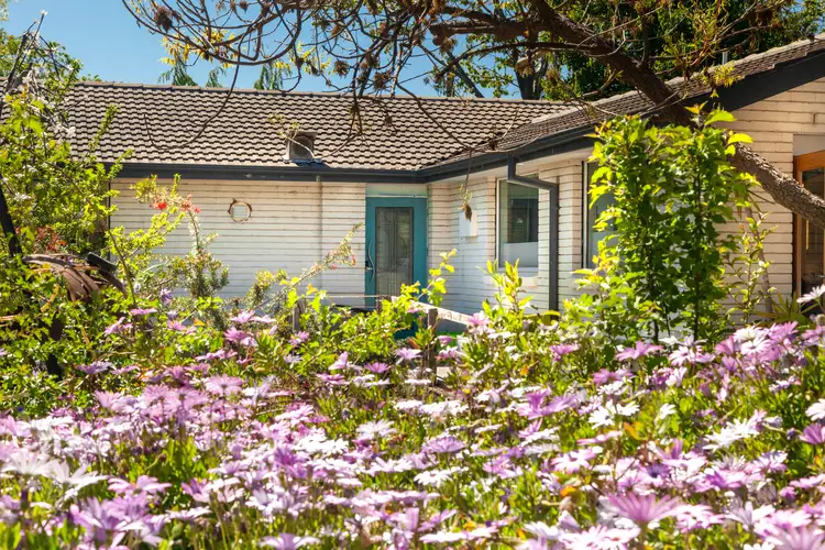 Main view of Homely house listing, 44 Haines Street, Curtin ACT 2605