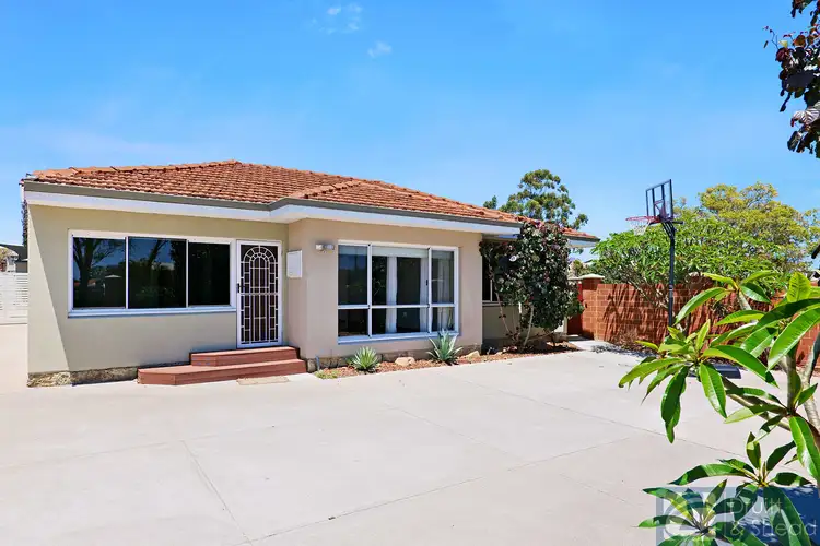 Main view of Homely house listing, 509 Karrinyup Road, Innaloo WA 6018