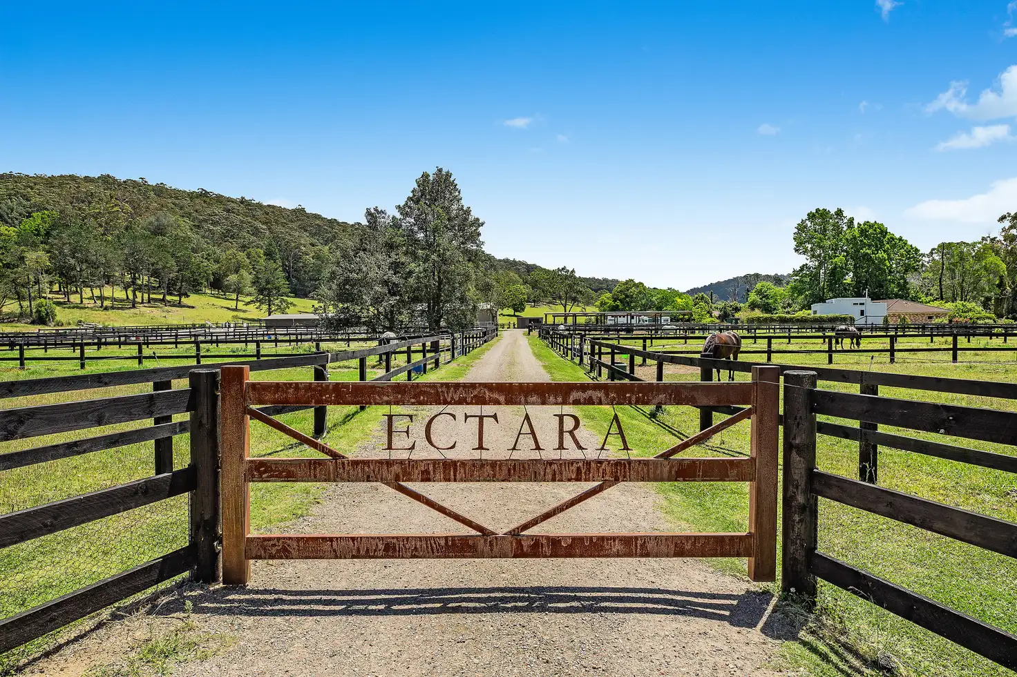 Main view of Homely rural property listing, 70 Palmdale Road, Palmdale NSW 2258