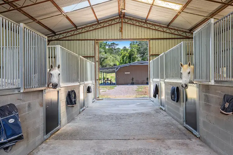 Fifth view of Homely rural property listing, 70 Palmdale Road, Palmdale NSW 2258