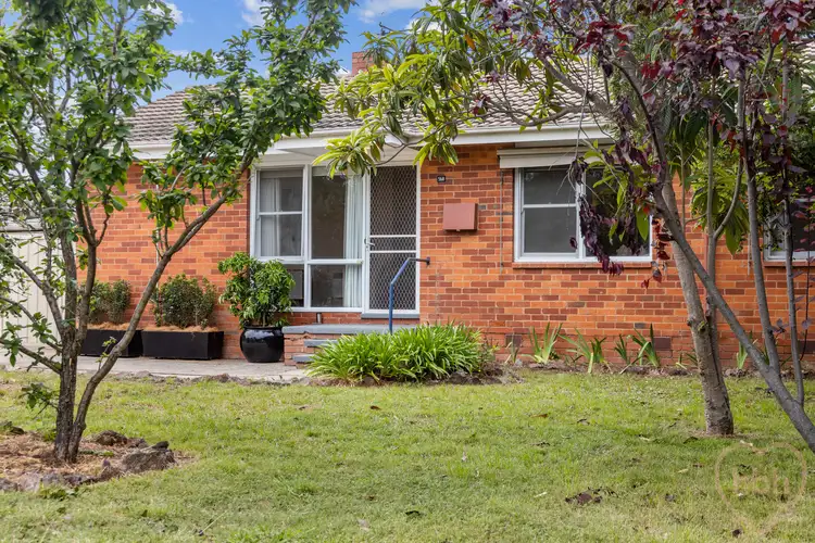 568 Northbourne Avenue, Downer ACT 2602