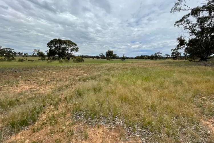 Main view of Homely rural property listing, Lot 50 Maxwells Lane, Woolshed Flat VIC 3518
