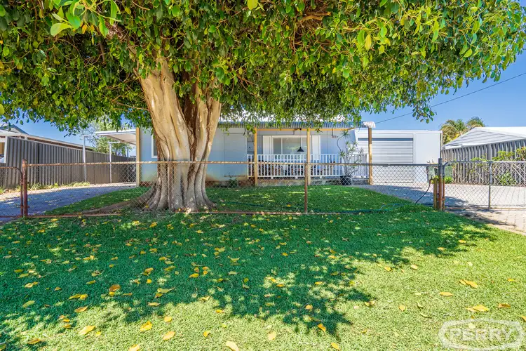 43 Dorothy Avenue, Falcon WA 6210