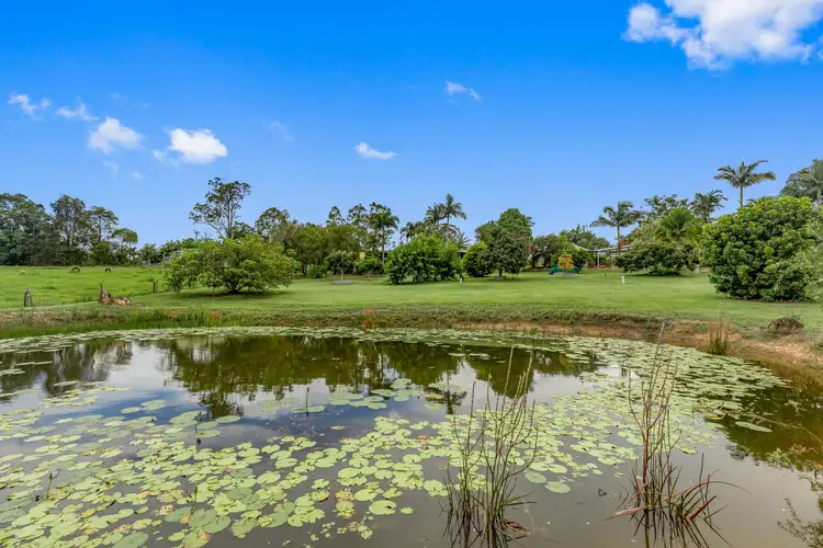 Fifth view of Homely rural property listing, 153 Chevallum Road, Palmwoods QLD 4555