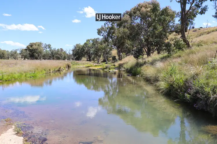 Main view of Homely rural property listing, 362 Bukkulla Road, Inverell NSW 2360