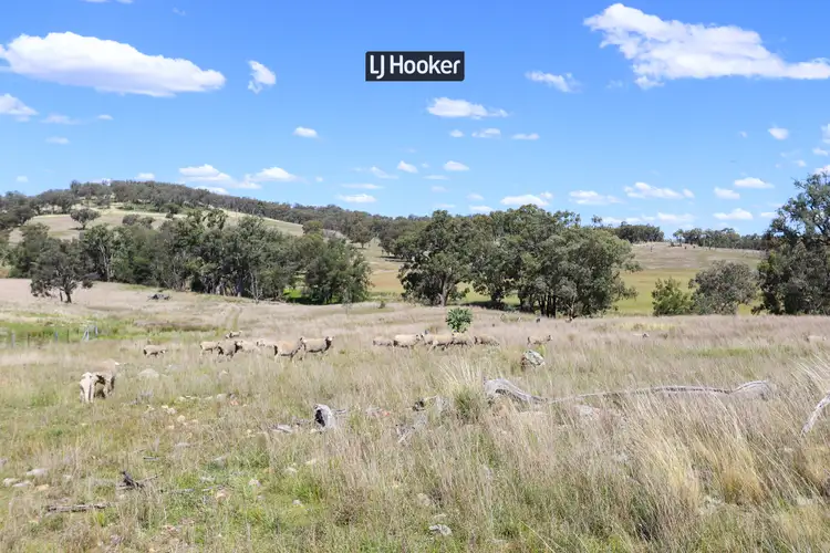Second view of Homely rural property listing, 362 Bukkulla Road, Inverell NSW 2360