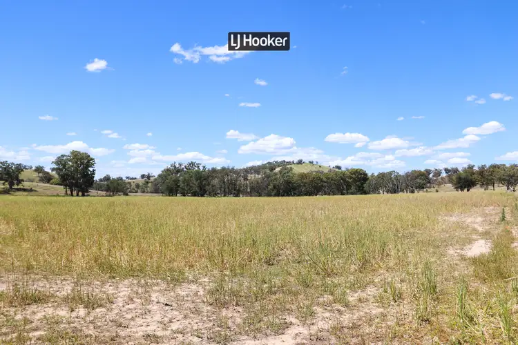 Seventh view of Homely rural property listing, 362 Bukkulla Road, Inverell NSW 2360