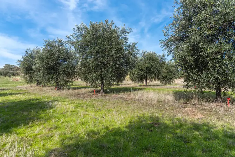 Third view of Homely rural property listing, 39 Barker Road, Harcourt North VIC 3453