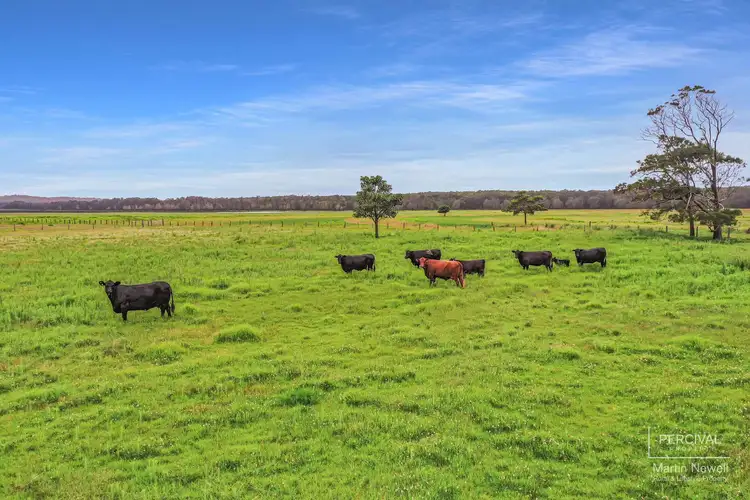 Fourth view of Homely rural property listing, LOT 3, 1299 Belmore River Right Bank Road, Belmore River NSW 2440