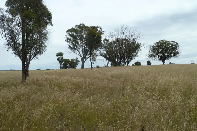 Second view of Homely rural property listing, CA177A Old Canfields Road, Kinypanial VIC 3520