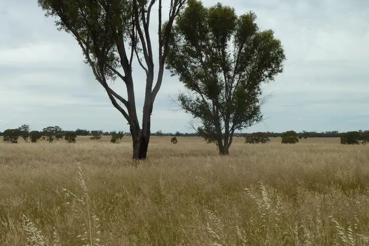 Third view of Homely rural property listing, CA177A Old Canfields Road, Kinypanial VIC 3520