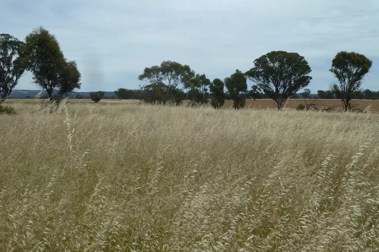 Sixth view of Homely rural property listing, CA177A Old Canfields Road, Kinypanial VIC 3520