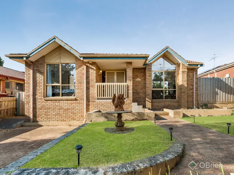 Main view of Homely house listing, 19 Rodney Court, Skye VIC 3977
