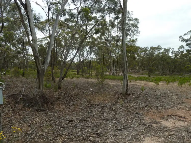 Main view of Homely rural property listing, CA24SEC3A Calder Highway, Wedderburn VIC 3518