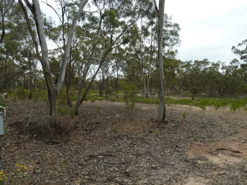 Main view of Homely rural property listing, CA24SEC3A Calder Highway, Wedderburn VIC 3518