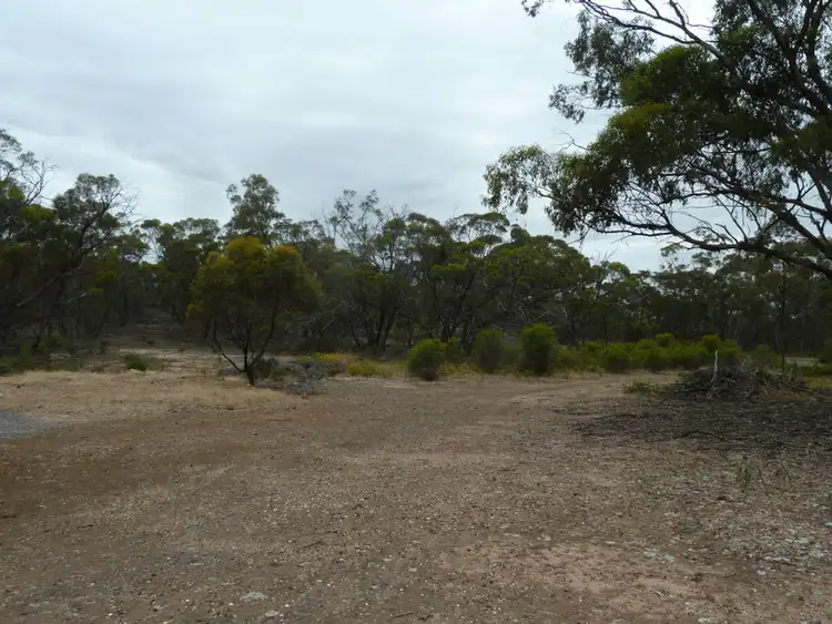 Fourth view of Homely rural property listing, CA24SEC3A Calder Highway, Wedderburn VIC 3518