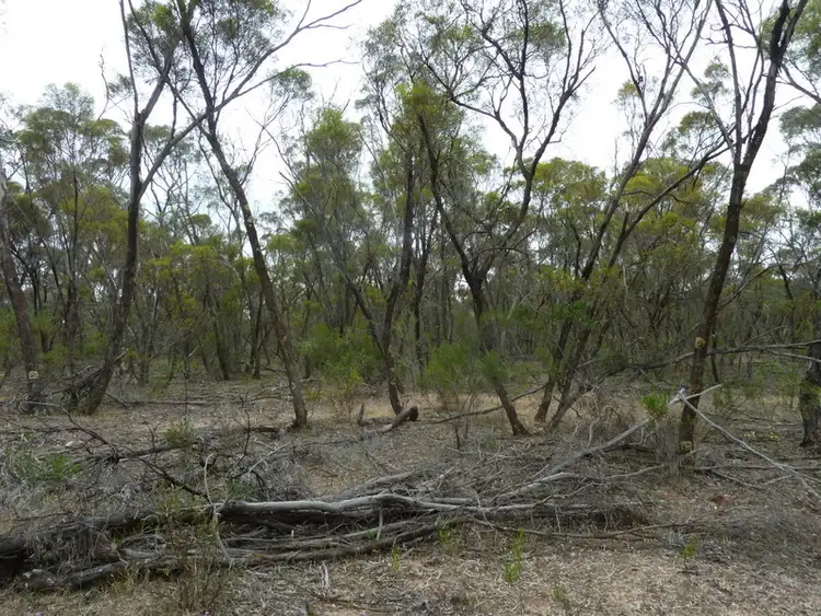 Fifth view of Homely rural property listing, CA24SEC3A Calder Highway, Wedderburn VIC 3518