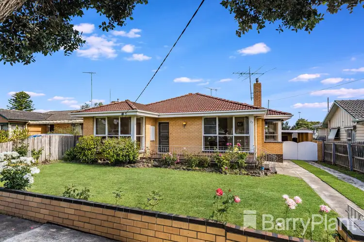 Main view of Homely house listing, 77 Pavo Street, Belmont VIC 3216