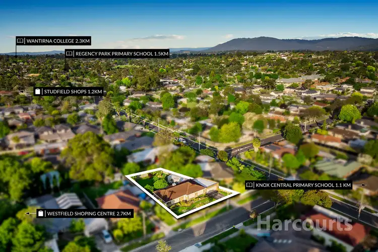 Sixth view of Homely house listing, 55 Ireland Avenue, Wantirna South VIC 3152