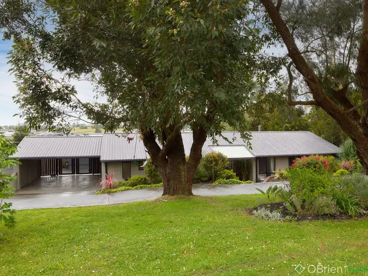 Second view of Homely house listing, 39 Biram Drive, Warragul VIC 3820