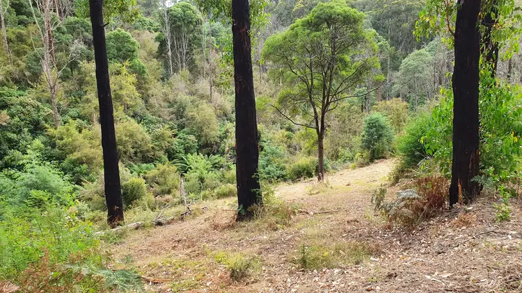 Third view of Homely rural property listing, CA 6 SEC 4 Old Coach Road, Walhalla VIC 3825