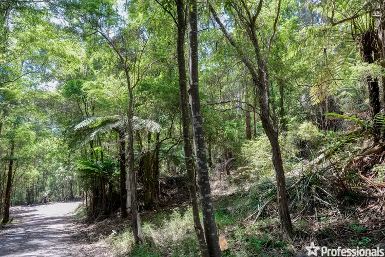 Fourth view of Homely land listing, 43 Hillcrest Road, Don Valley VIC 3139