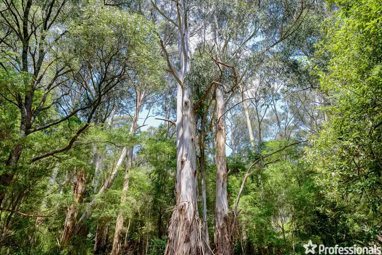 Seventh view of Homely land listing, 43 Hillcrest Road, Don Valley VIC 3139