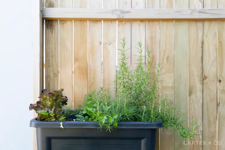 Fourth view of Homely townhouse listing, 26 Melomys Circuit, Throsby ACT 2914