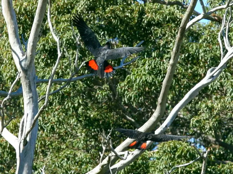 Second view of Homely rural property listing, 376 Medway Road, Harvey WA 6220