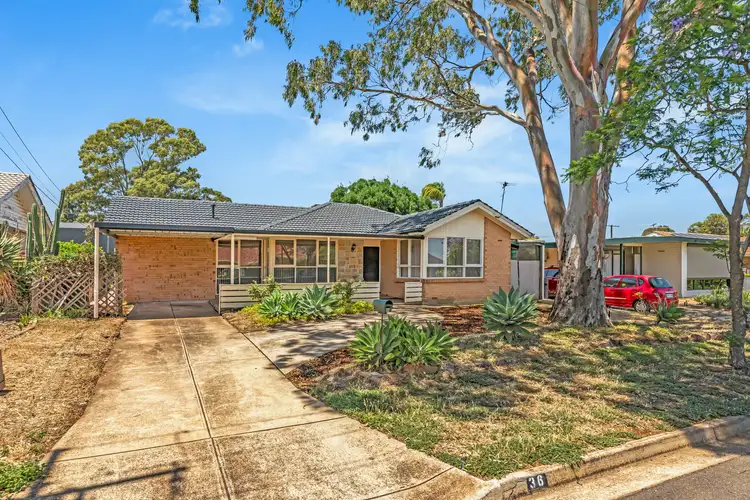 Main view of Homely house listing, 36 Jacaranda Drive, Salisbury East SA 5109
