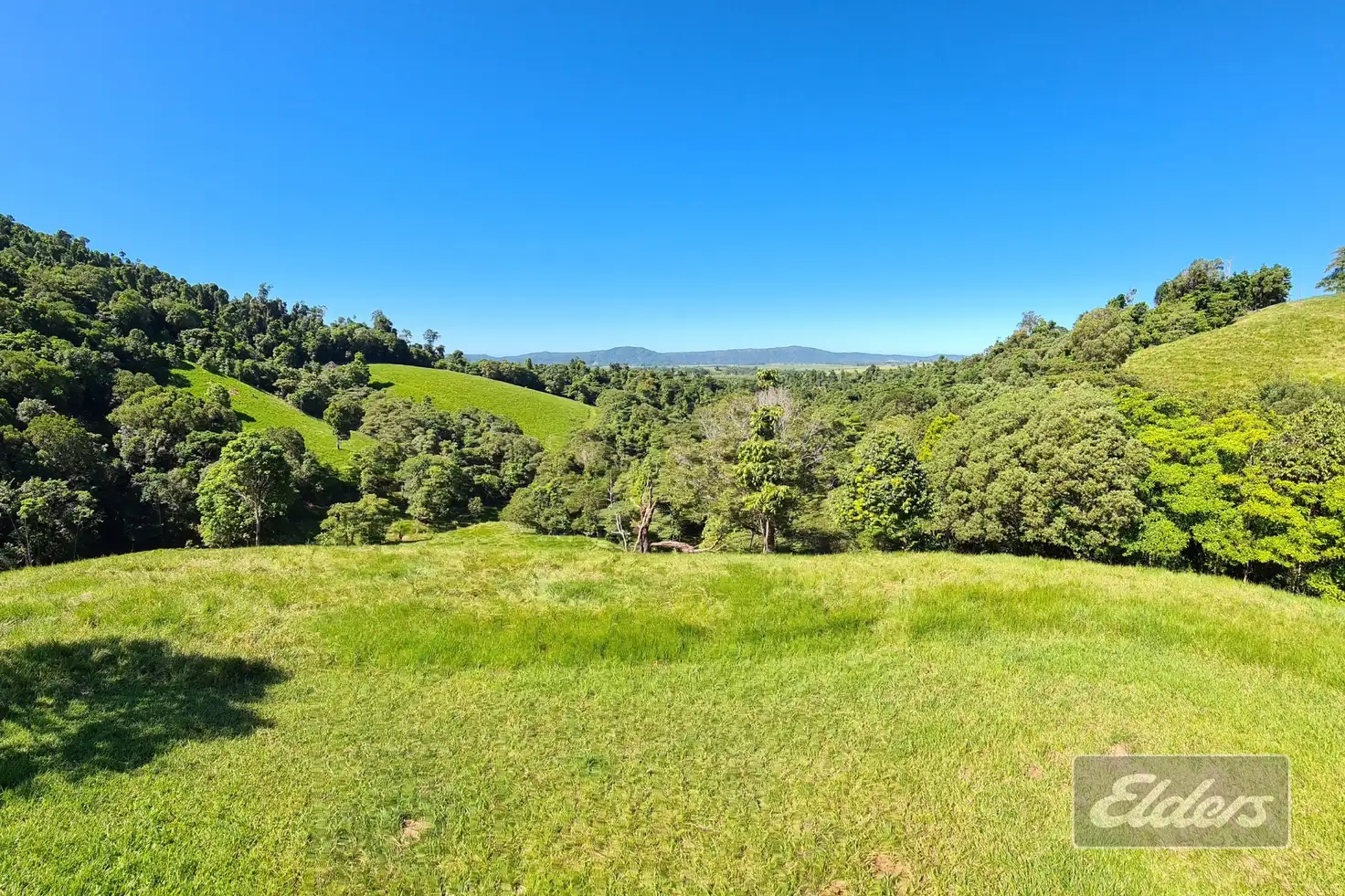Main view of Homely house listing, 554 Utchee Creek Road, Utchee Creek QLD 4871