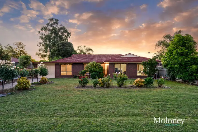 Main view of Homely house listing, 241 Hume Street, Corowa NSW 2646