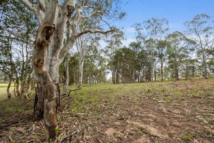 Seventh view of Homely land listing, 21 Bowditch Avenue, Loxford NSW 2326