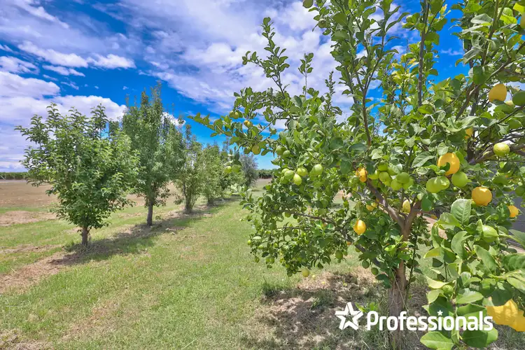 Third view of Homely land listing, LOT 1 Karadoc Avenue, Nichols Point VIC 3501