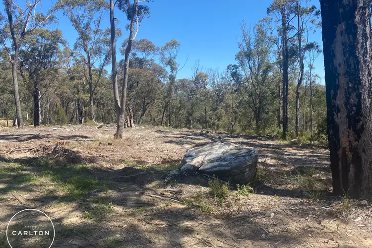 Seventh view of Homely rural property listing, LOT 24, 25 & 2 Carlton Street, Willow Vale NSW 2575