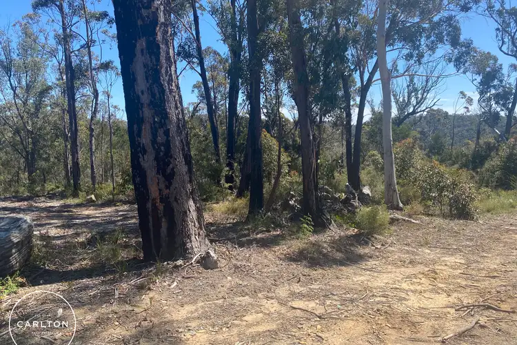 Fifth view of Homely rural property listing, LOT 21, 22 & 2 Carlton Street, Willow Vale NSW 2575
