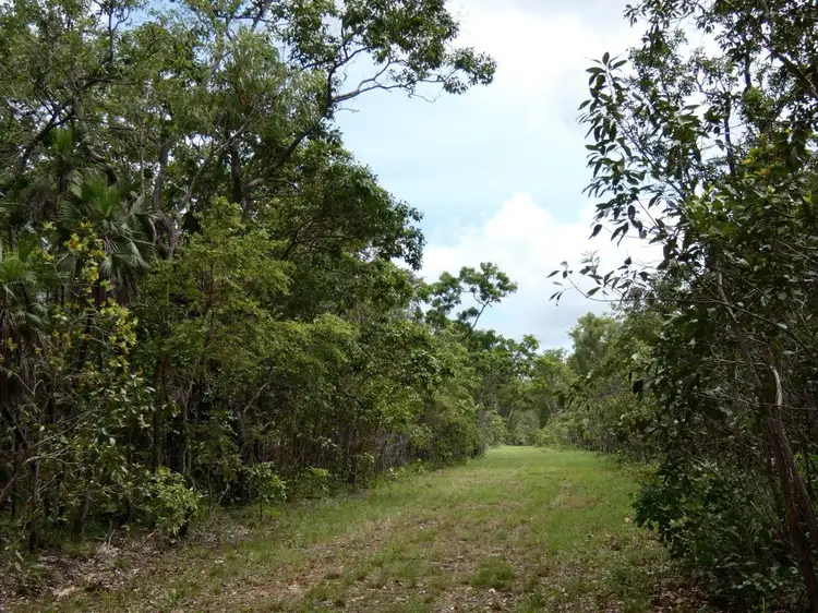 Main view of Homely land listing, LOT 4614, 3666 Fog Bay Road, Dundee Forest NT 840