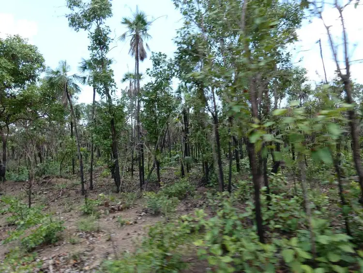 Fifth view of Homely land listing, LOT 4614, 3666 Fog Bay Road, Dundee Forest NT 840