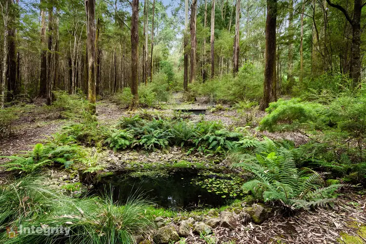 Fourth view of Homely rural property listing, 60 Chapman Road, Mount Toolebewong VIC 3777