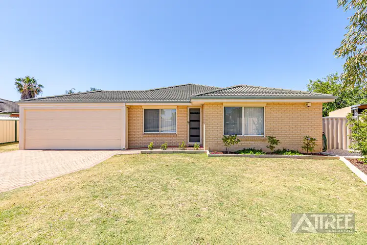 Main view of Homely house listing, 38 Brown Crescent, Seville Grove WA 6112