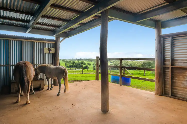 Fourth view of Homely rural property listing, 1138 Mount Mee Road, Mount Mee QLD 4521