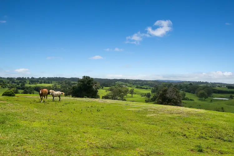 Fifth view of Homely rural property listing, 1138 Mount Mee Road, Mount Mee QLD 4521