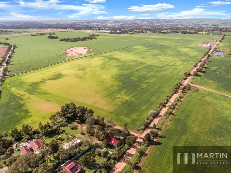 Second view of Homely rural property listing, LOT 1 Whitelaw Road, Ward Belt SA 5118
