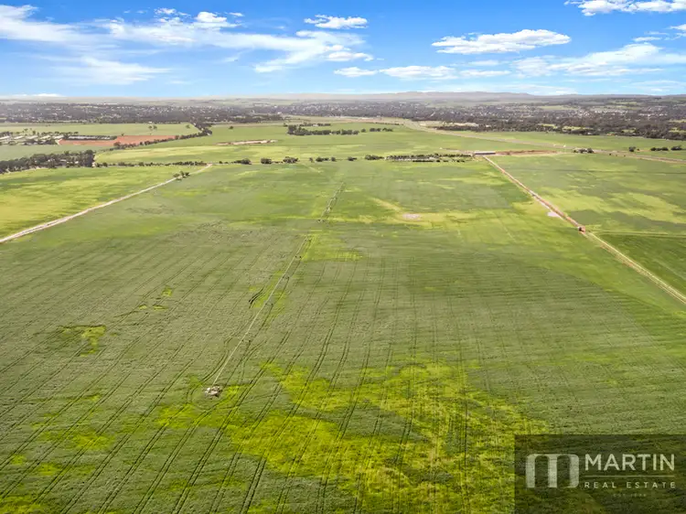 Third view of Homely rural property listing, LOT 1 Whitelaw Road, Ward Belt SA 5118