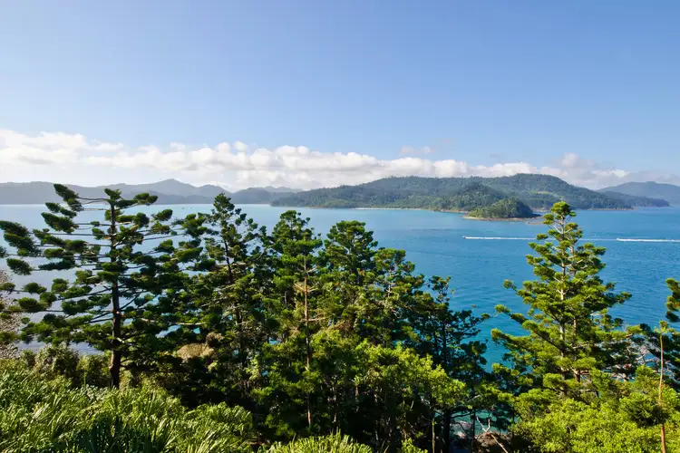 Fourth view of Homely apartment listing, 2/2 Coral Sea Avenue, Hamilton Island QLD 4803