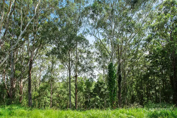 Sixth view of Homely land listing, 7 Ashdown Court, Tinbeerwah QLD 4563