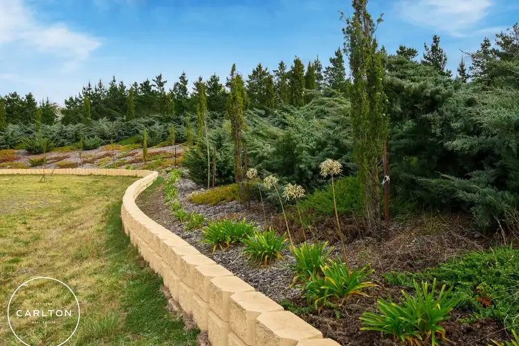Second view of Homely rural property listing, 41 Munro Road, Carrick NSW 2580