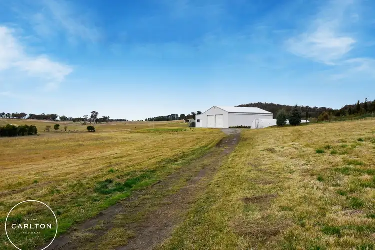 Fourth view of Homely rural property listing, 41 Munro Road, Carrick NSW 2580